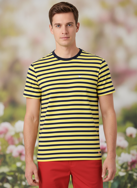 Mens Premium Cotton Striped Half Sleeve Crew Neck T-Shirts