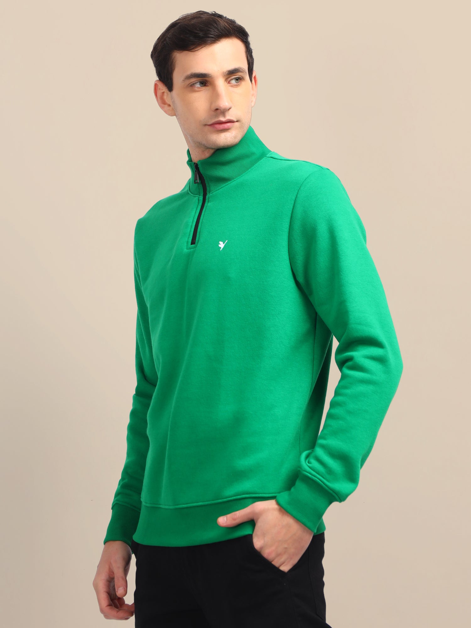 AMSWAN MEN'S GREEN SOLID HALF-ZIP SWEATSHIRT