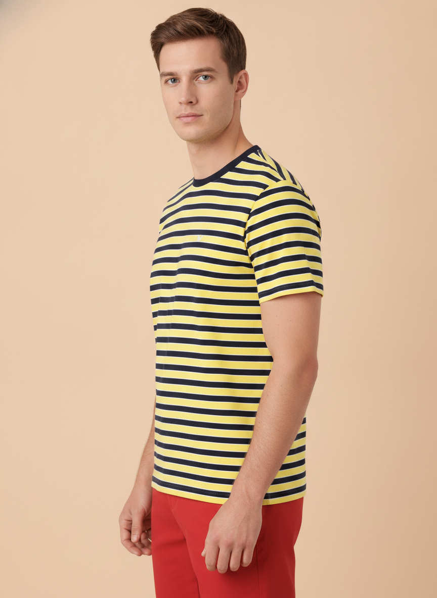 Mens Premium Cotton Striped Half Sleeve Crew Neck T-Shirts