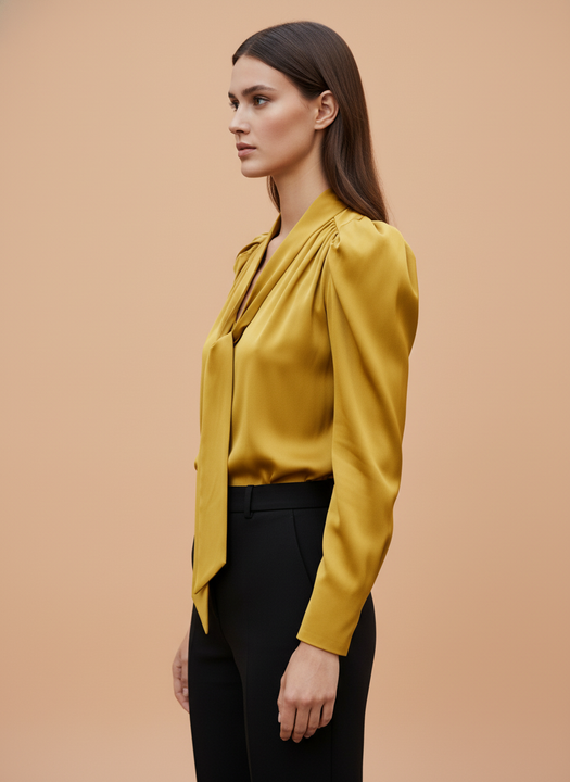Women's Elegant Long Sleeve Formal Top