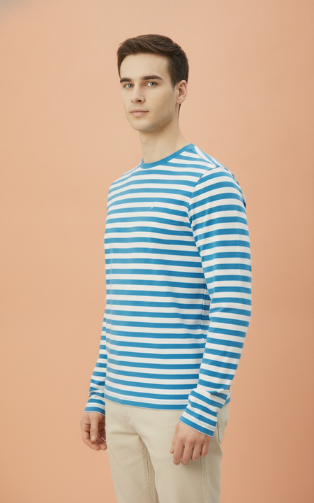 Mens Premium Cotton Striped Full Sleeve Crew Neck T-Shirts