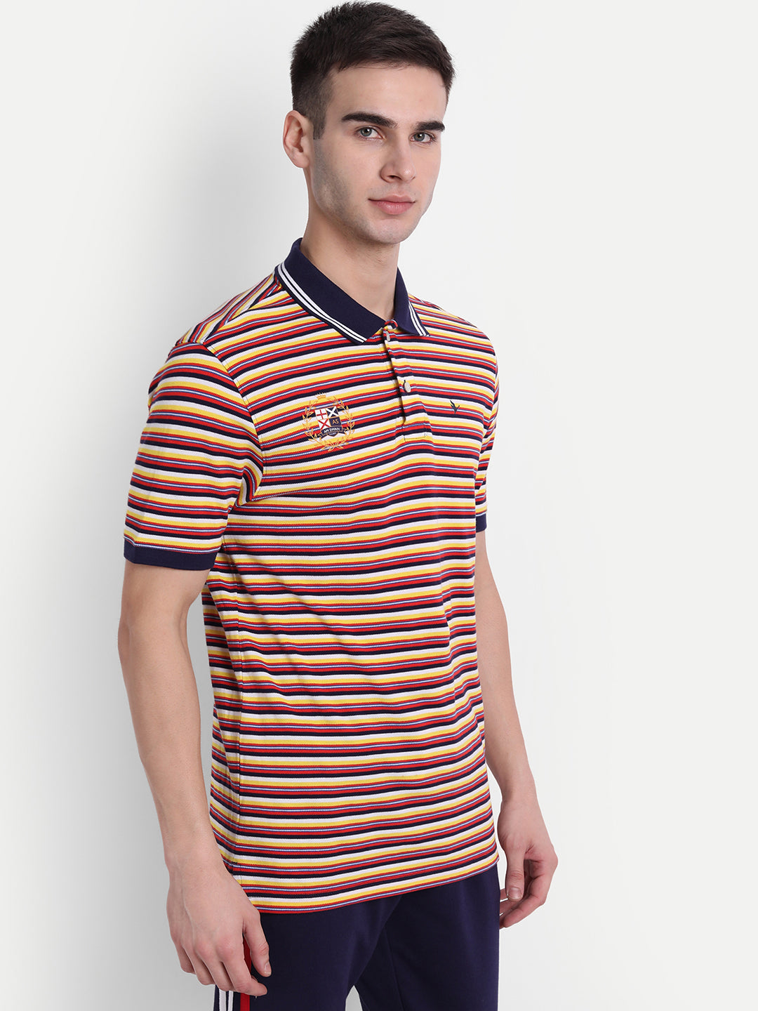 Mens Premium Cotton Striped Half Sleeve Collar T-Shirts
