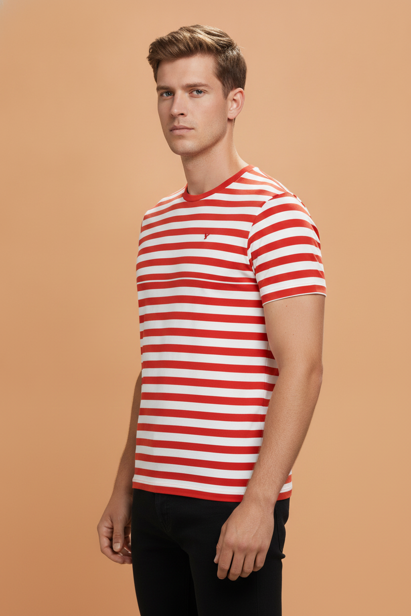 Mens Premium Cotton Striped Half Sleeve Crew Neck T-Shirts