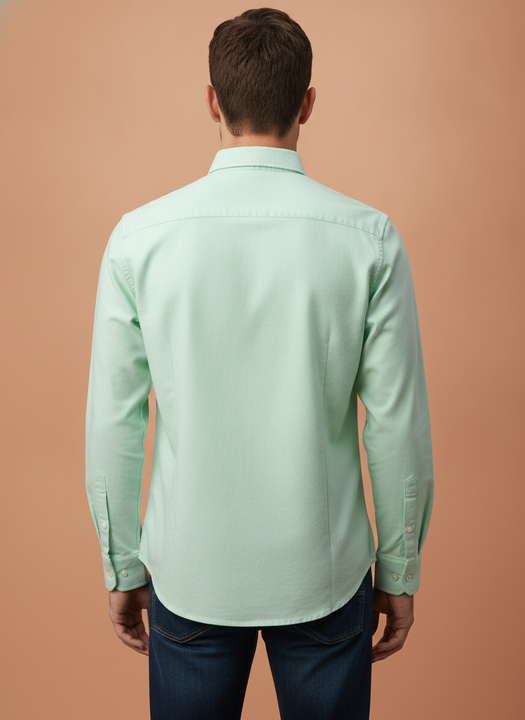 Men'S Premium Cotton Oxford Solid Shirt | Mint Green