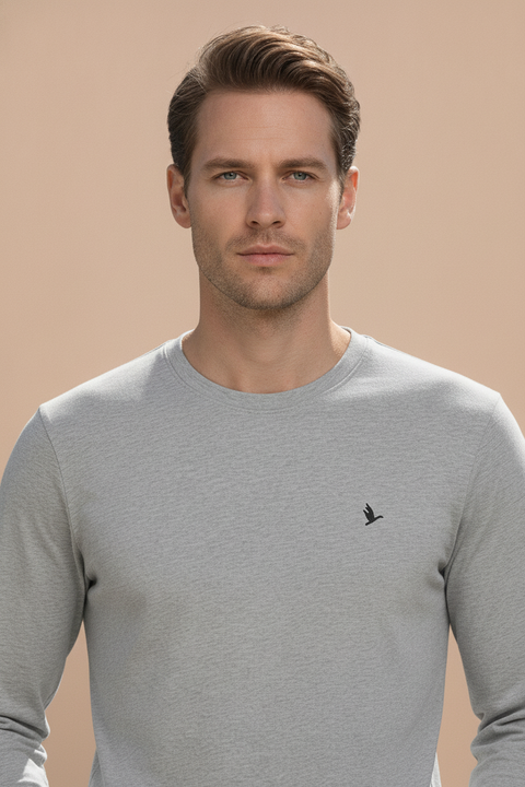 Mens Premium Cotton Printed Full Sleeve T-Shirts