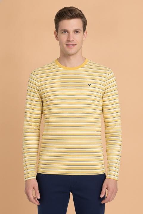 Mens Premium Cotton Striped Full Sleeve Crew Neck T-Shirts
