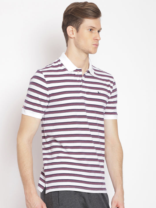 Premium Cotton Striped Polo Tees
