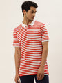 Premium Red Striped Half Sleeve Polo